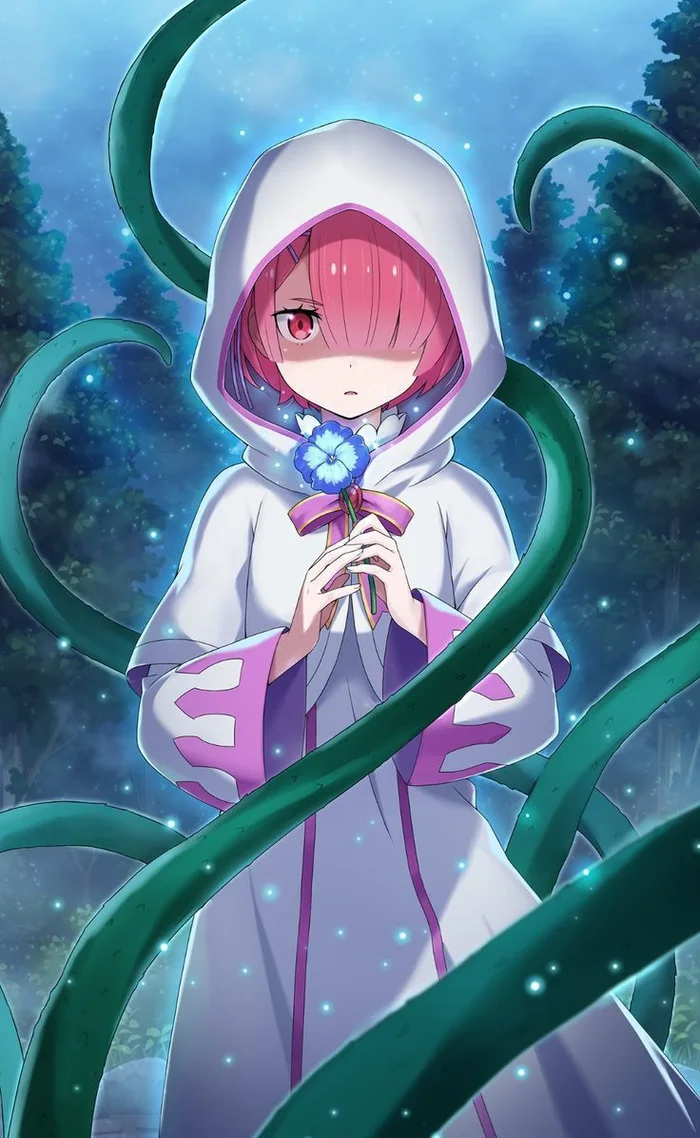 ảnh Ram Re Zero 1