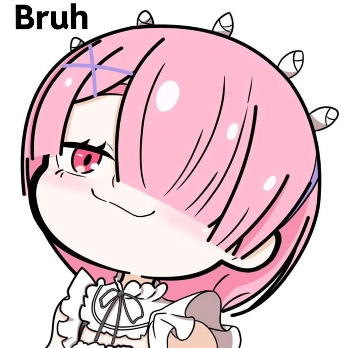 ảnh Ram Re Zero 15