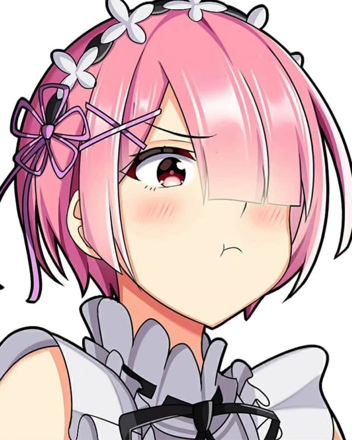 ảnh Ram Re Zero 9