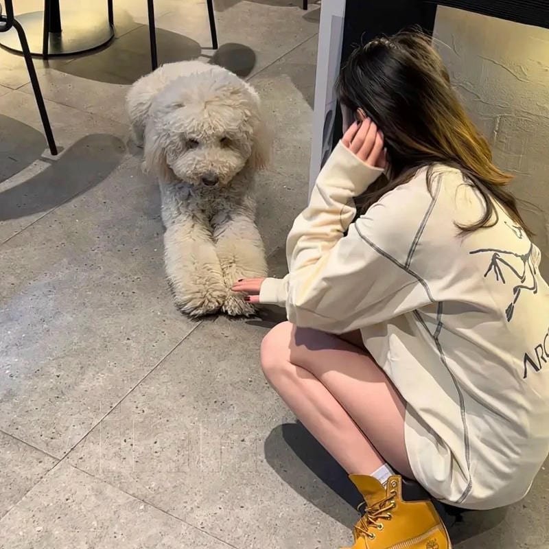 ảnh che mặt che mặt kín đáo