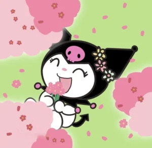 ảnh kuromi 17