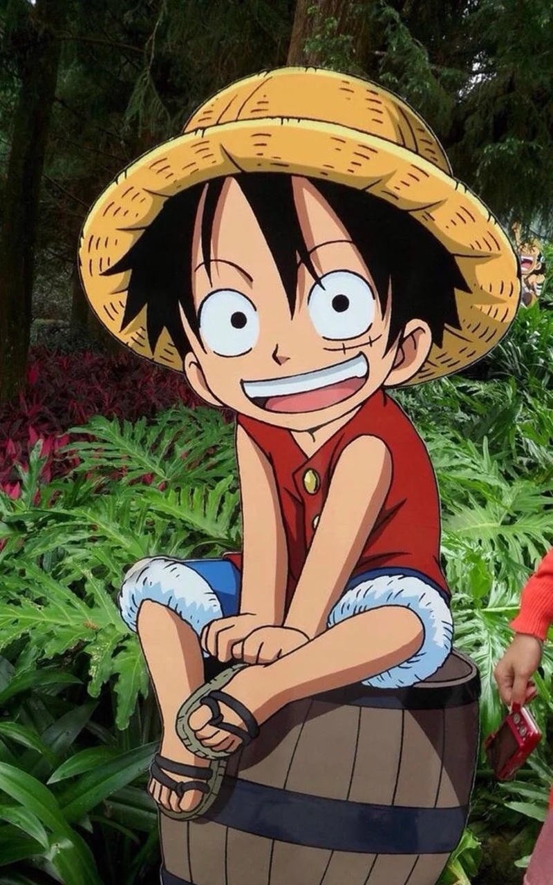 ảnh luffy đối mặt thử thách