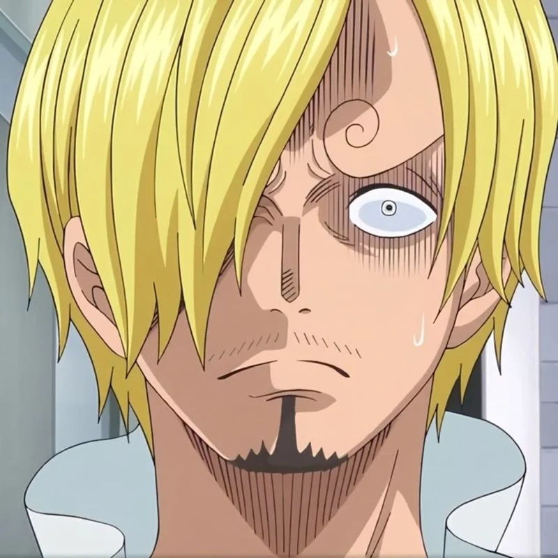 hình của sanji