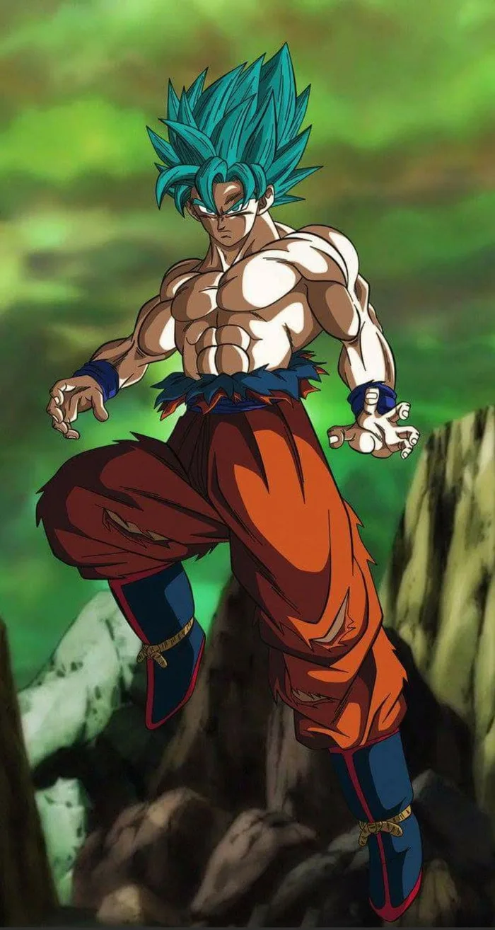 hình vẽ songoku