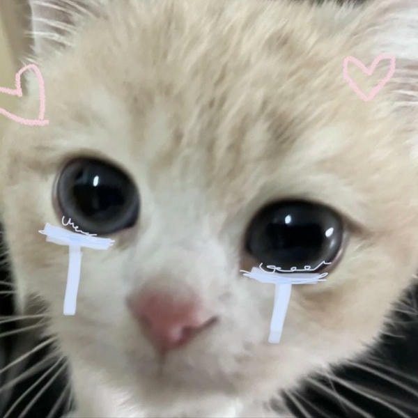 anh meme khóc ra nuoc mat