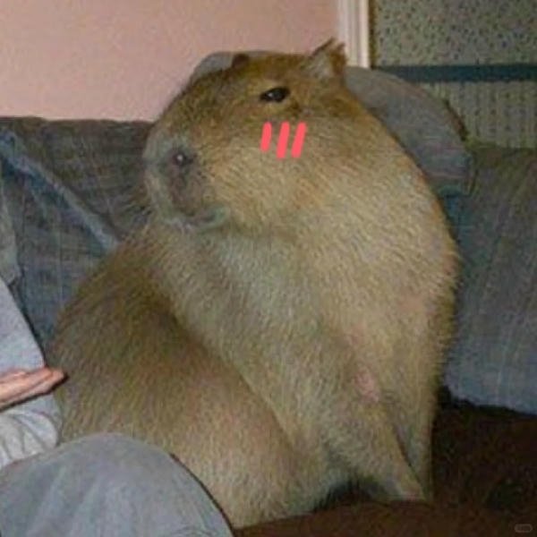 capybara meme độc đáo