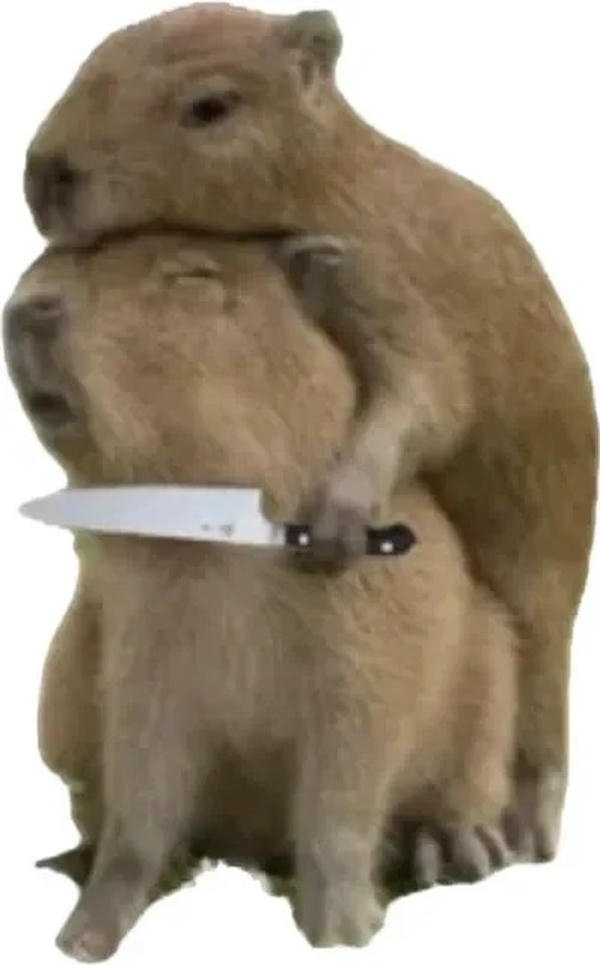 capybara meme đơn giản