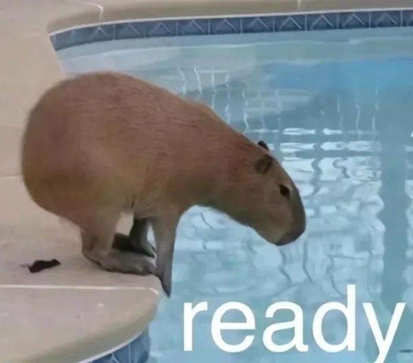 capybara meme hot trend