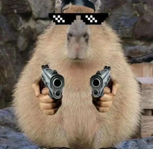capybara meme nổi tiếng