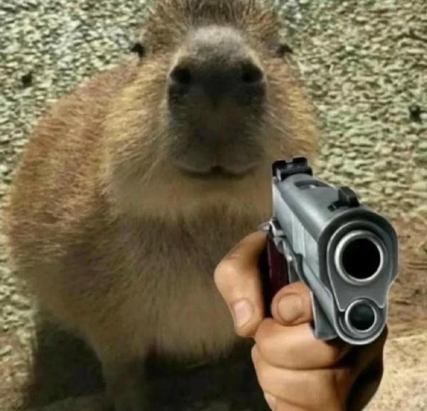 capybara meme sáng tạo