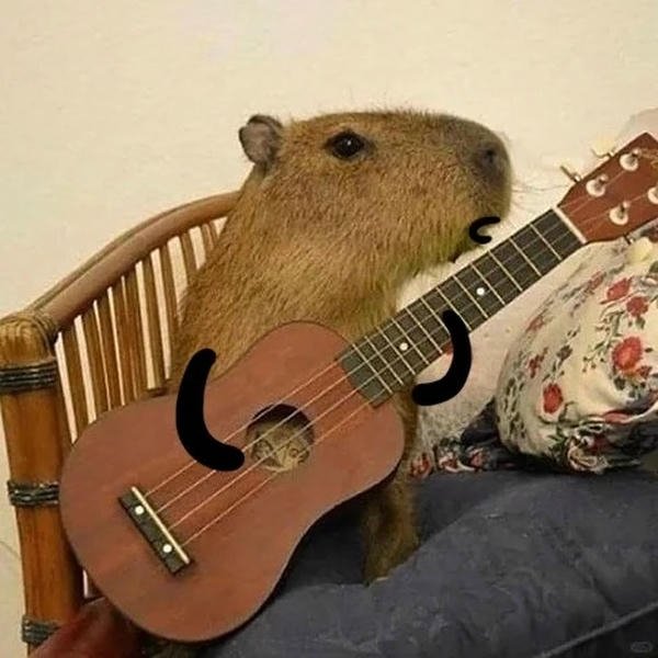 capybara meme thú vị