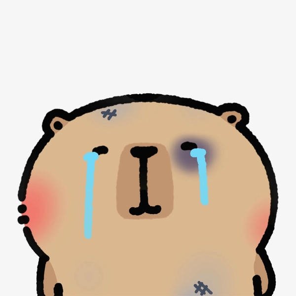 capybara meme tổng hợp