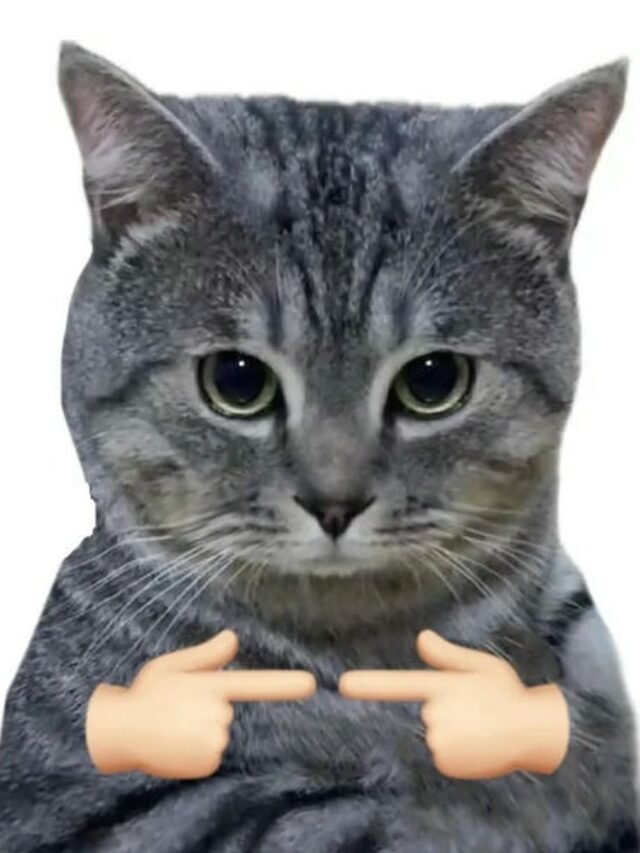 Tuyển tập 284+ ảnh meme vô tri sáng tạo siêu hài hước dí dỏm