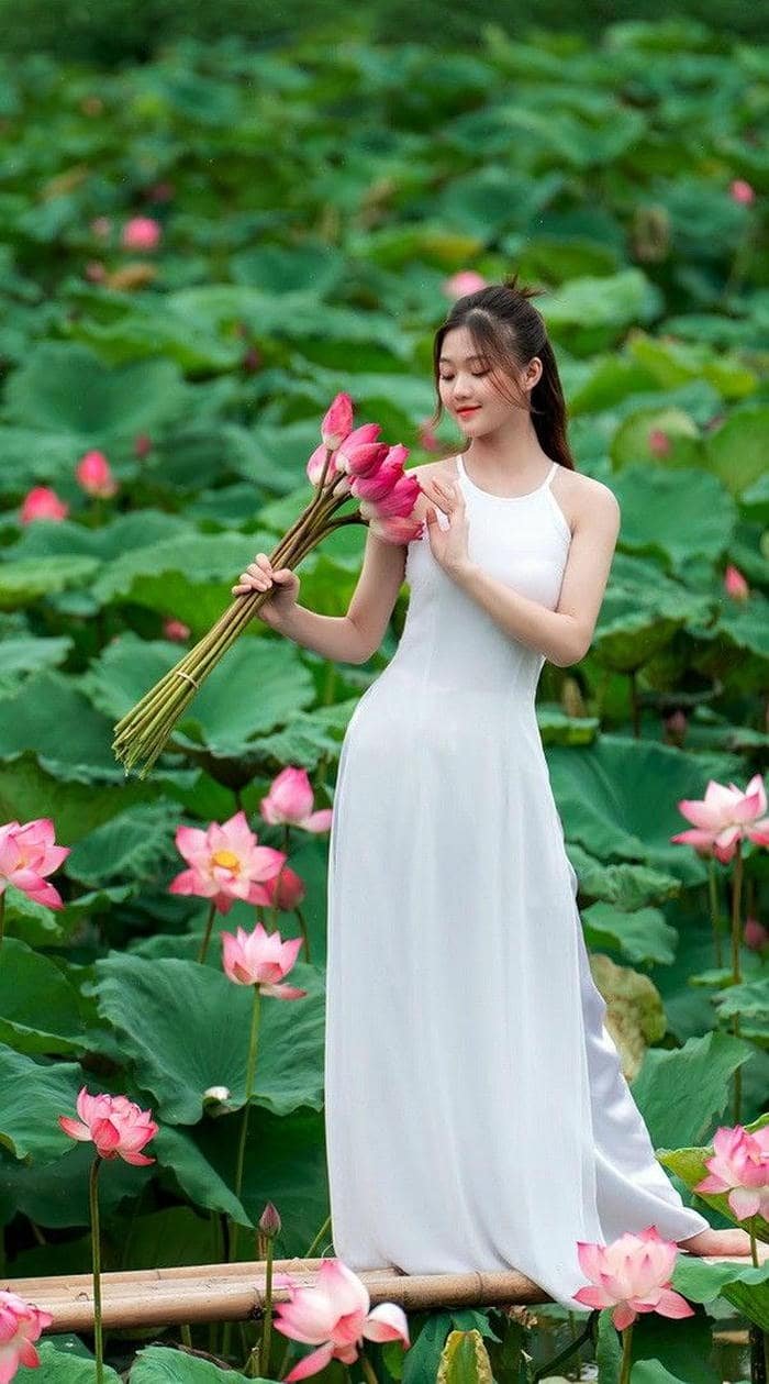 gái xinh và hồ sen