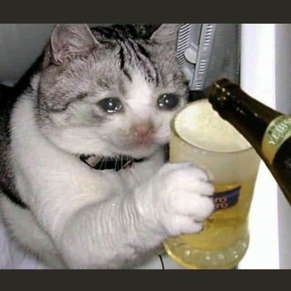 hinh anh dep meme buồn