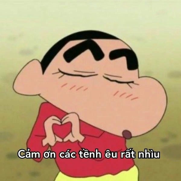 hình ảnh meme cảm ơn shin