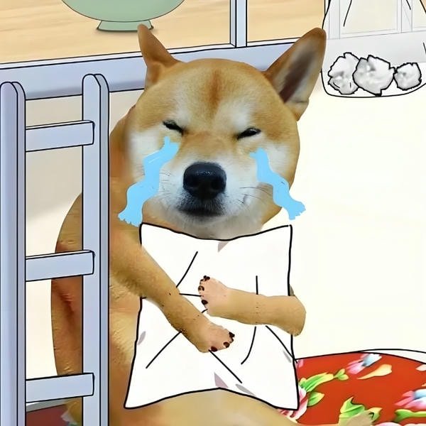 hình ảnh meme khóc