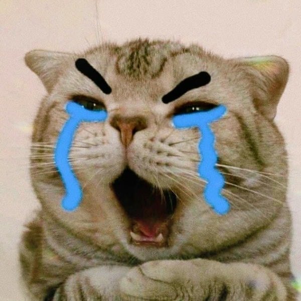 hình ảnh meme khóc trung quốc