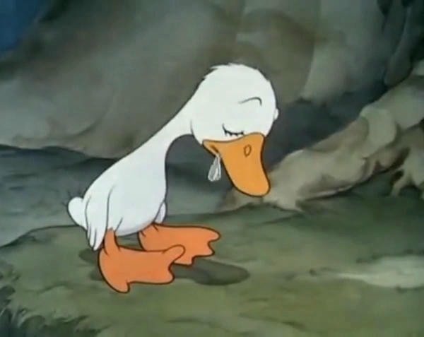 hình meme buồn vịt