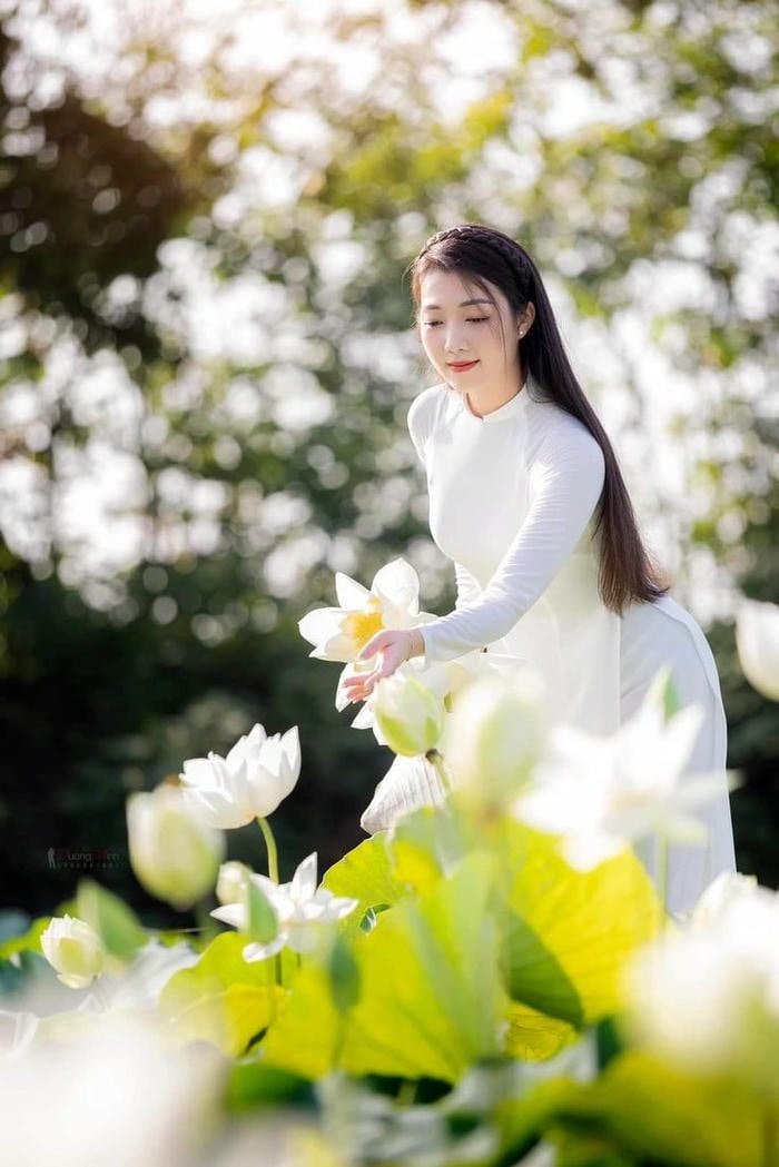 mẫu ảnh dịu dàng cạnh sen