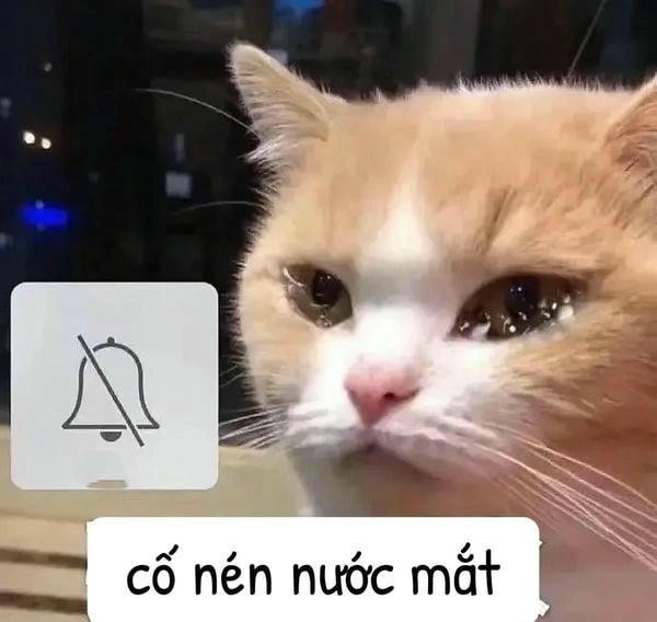 meme buồn cố nén nước mắt