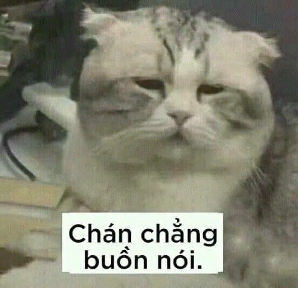 meme buồn và cười