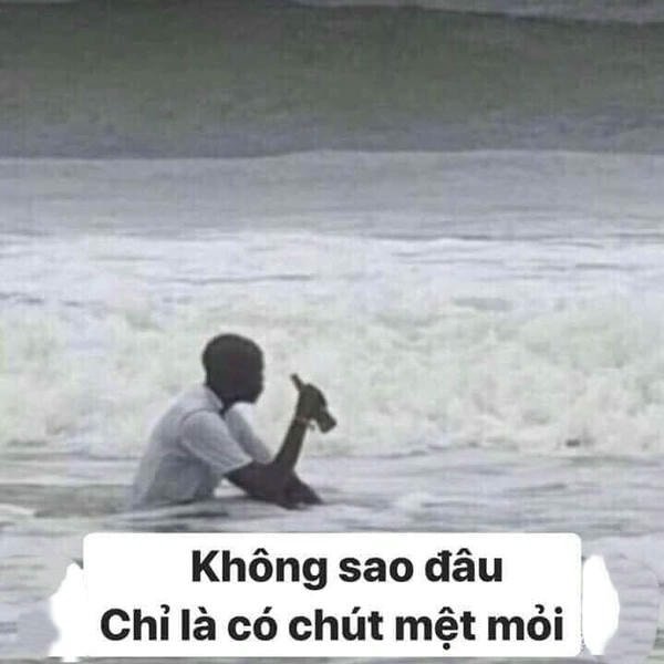 meme buồn vô tri