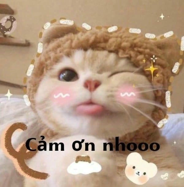 meme cảm ơn bố