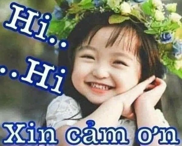 meme cảm ơn hi hi