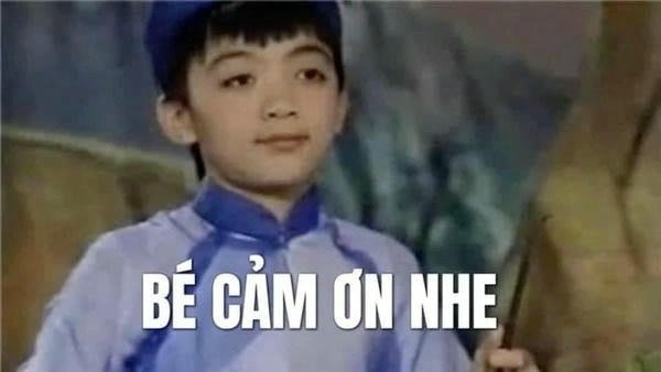 meme cảm ơn nhé