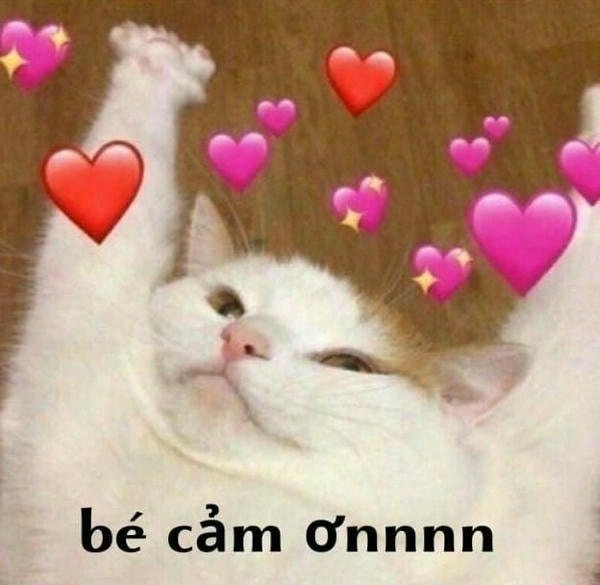 meme cảm ơnnn