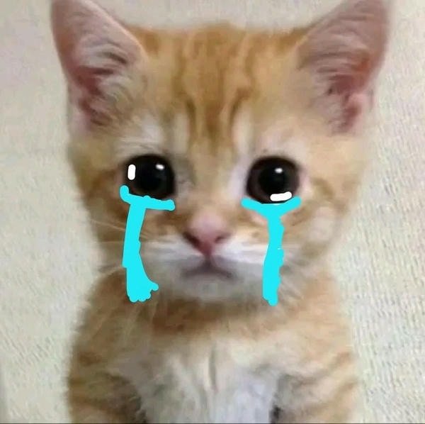 meme mèo khóc 2 hàng nước mắt
