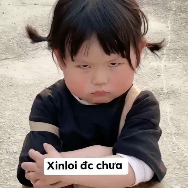 meme xin lỗi duoc chưa