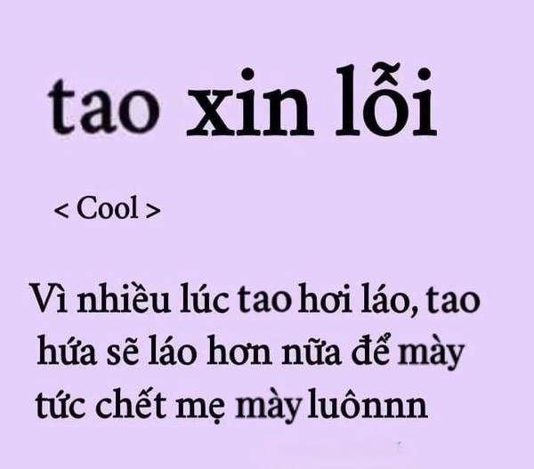 meme xin lỗi toanf chuwx