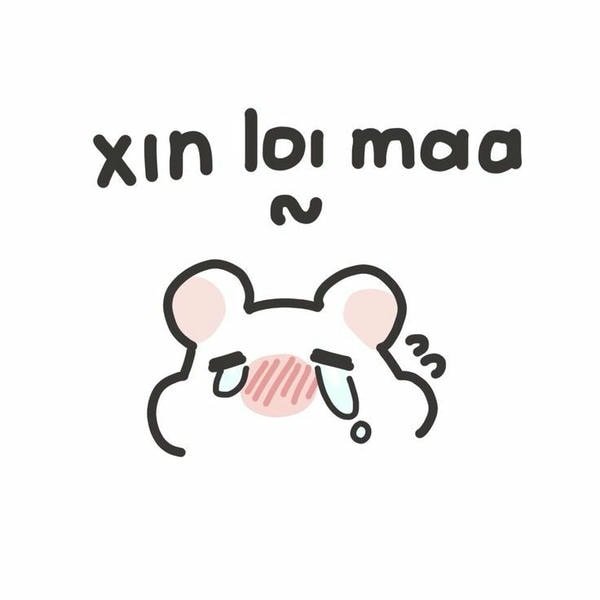 meme xin lỗi vì đã làm phiền