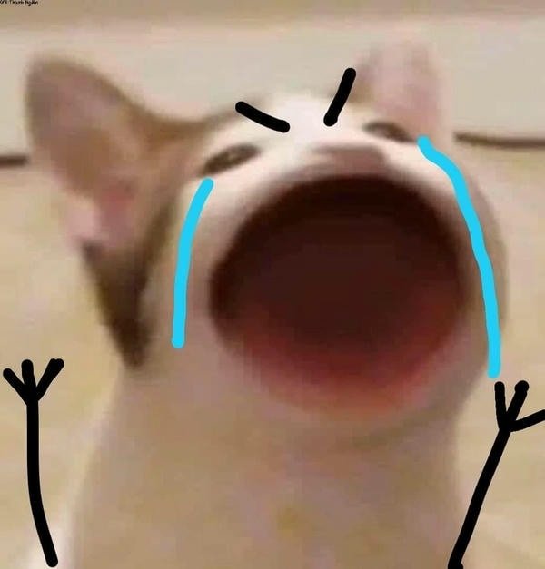mèo gào mồm khóc meme