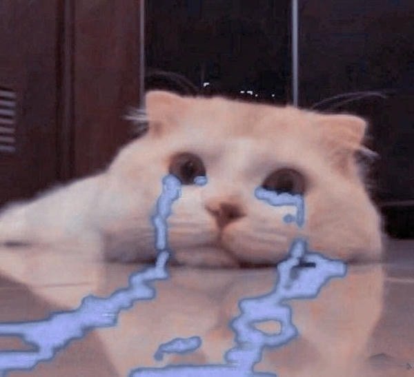 nước mắt mèo meme