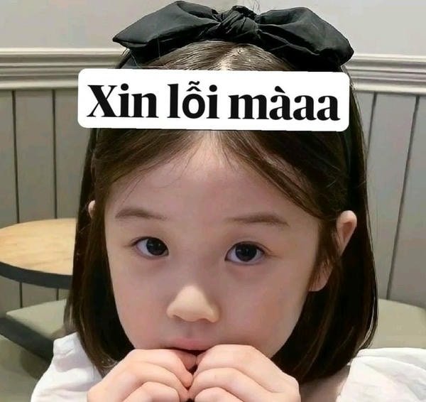 xin lỗi mà