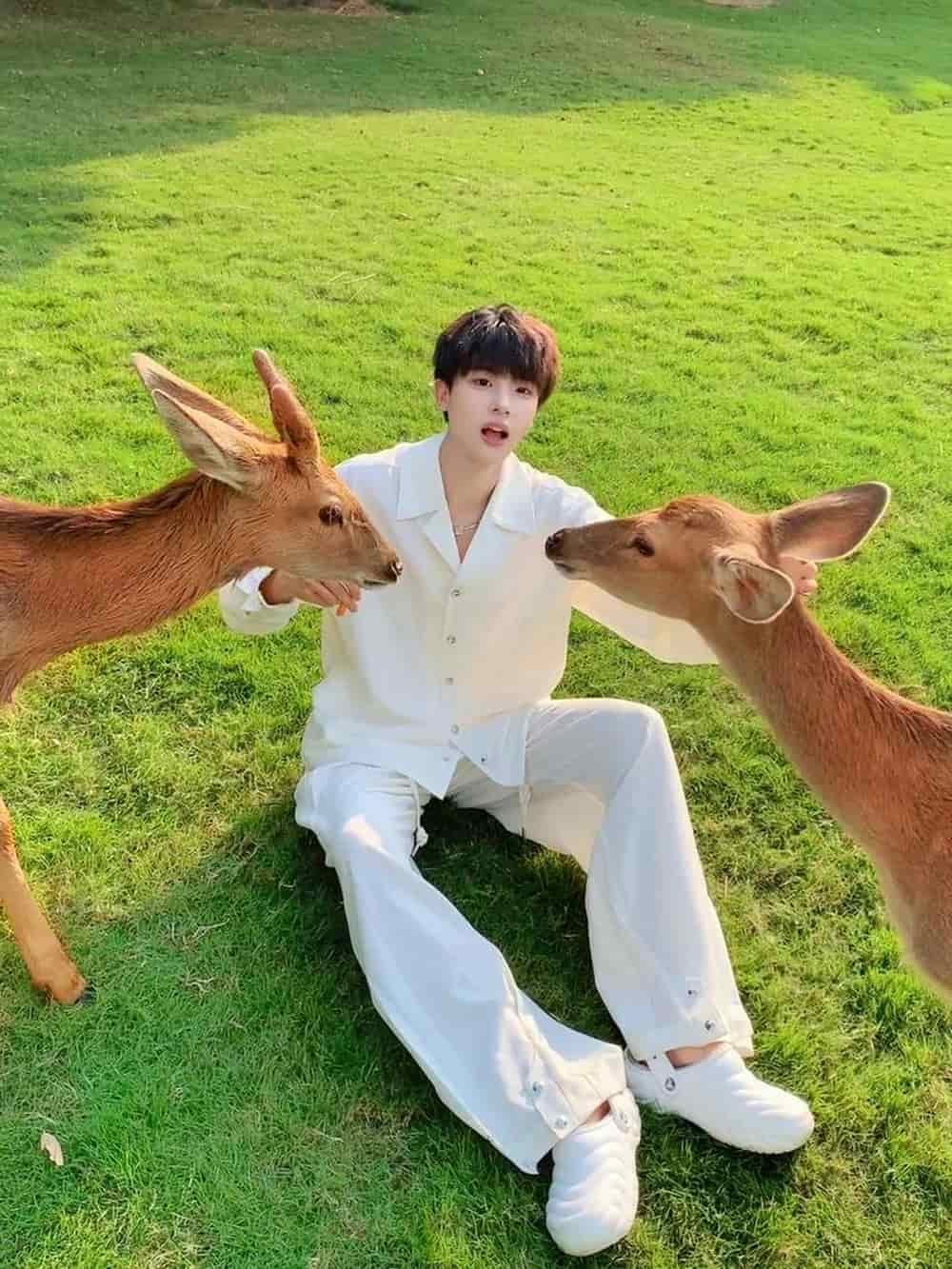 Album ảnh trai đẹp xịn