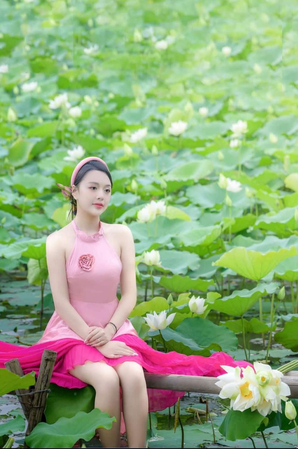 Ảnh gái xinh đầm sen.