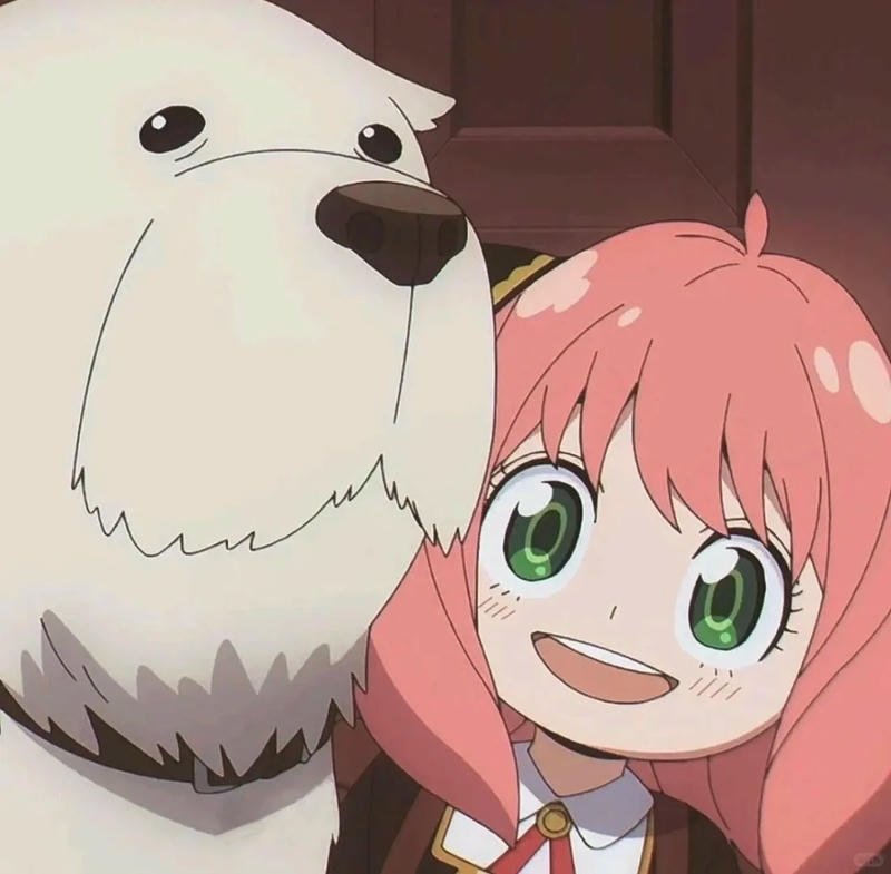 Chụp hình ảnh anya dễ thương