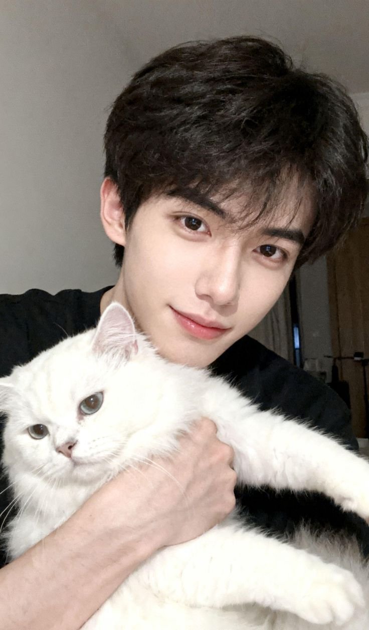 Mặt trai đẹp phong cách Hàn