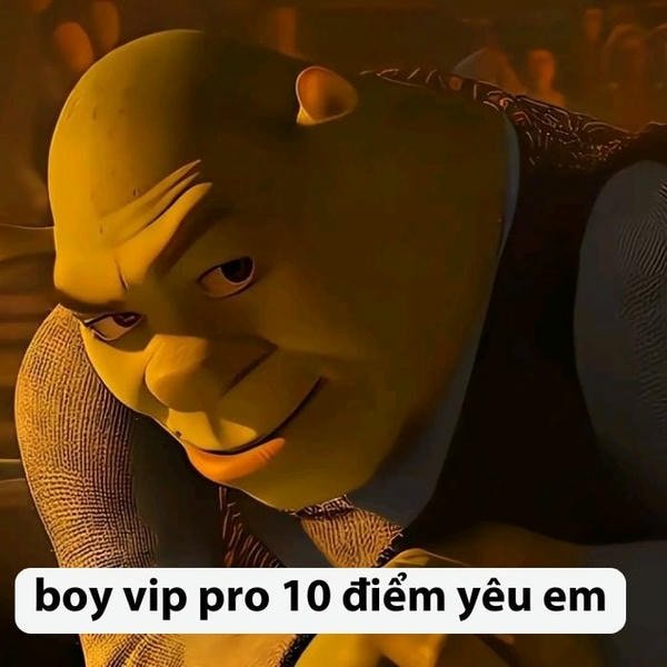 ảnh 10 điểm meme shreak