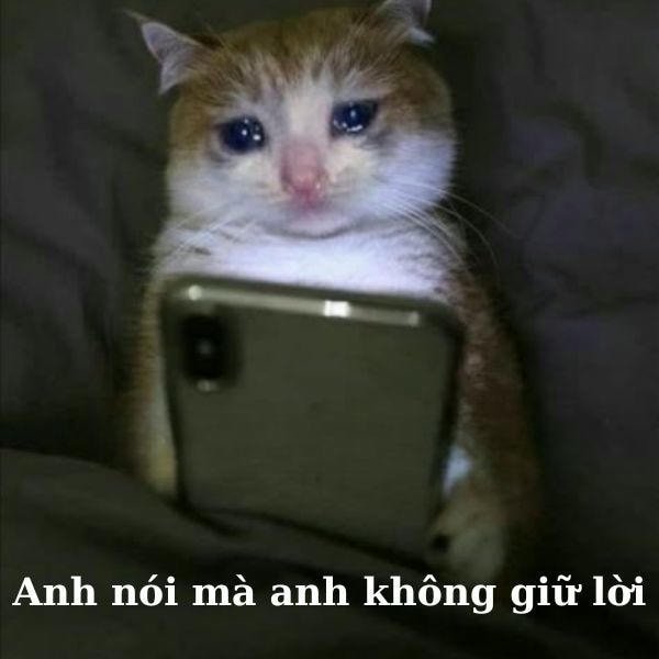 anh ấy không nhắn tin cho tôi