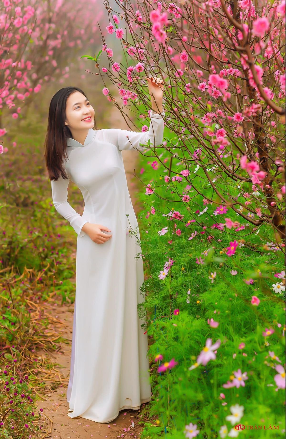 ảnh gái xinh áo dài tết đỏ đẹp