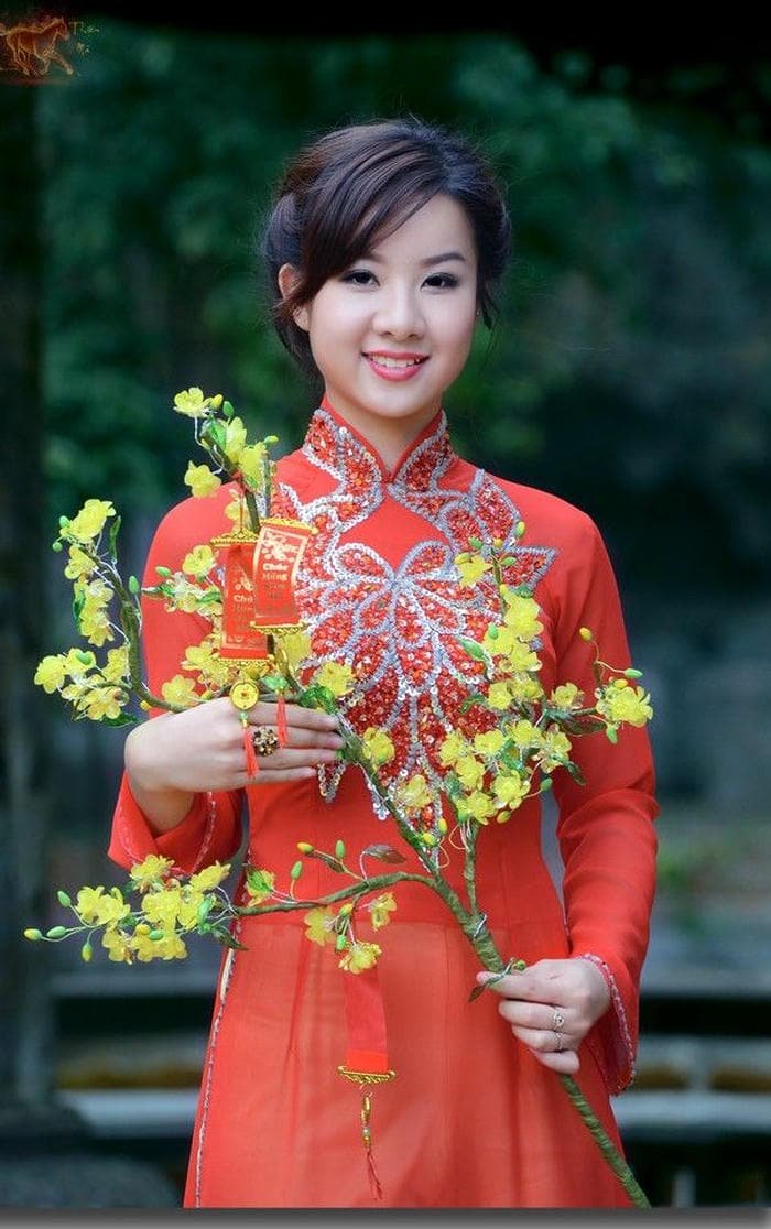 ảnh gái xinh áo dài tết hiện đại