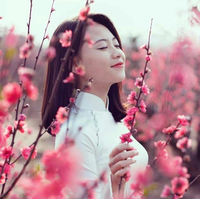 ảnh gái xinh áo dài tết phong cách