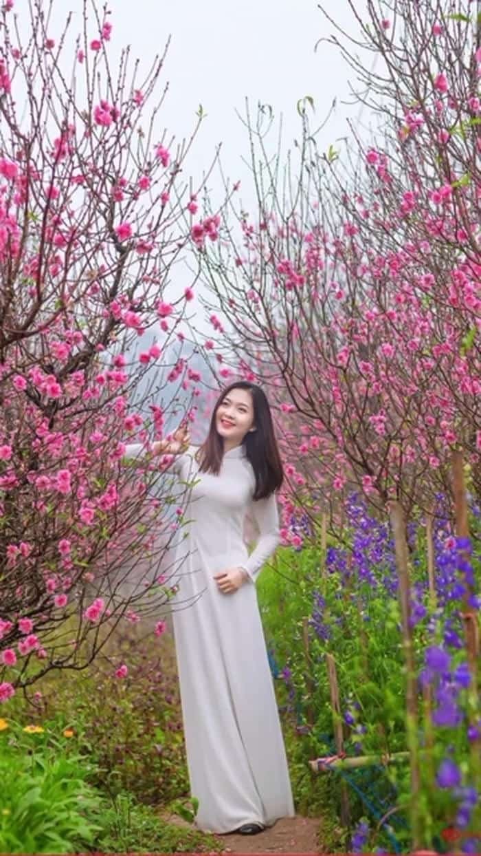 ảnh gái xinh áo dài tết xinh đẹp