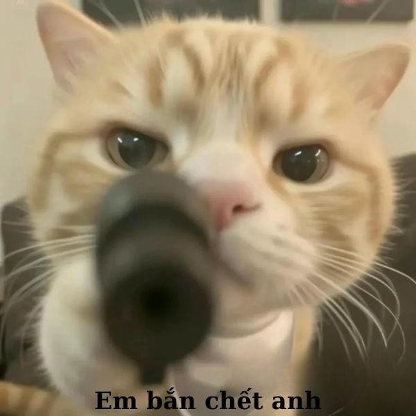 anh không hết dỗi em bắn