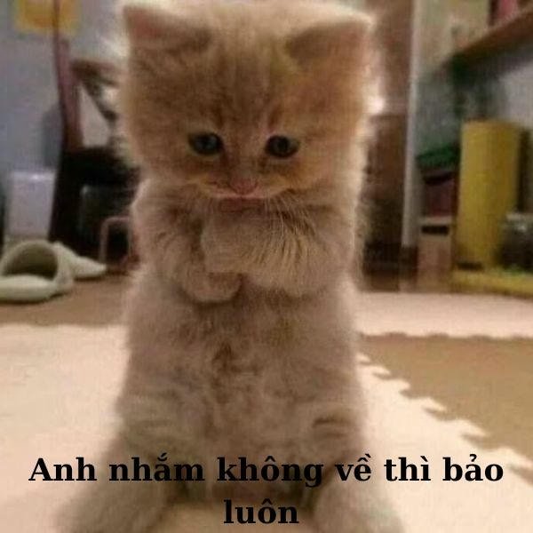 anh không vỗ về em à